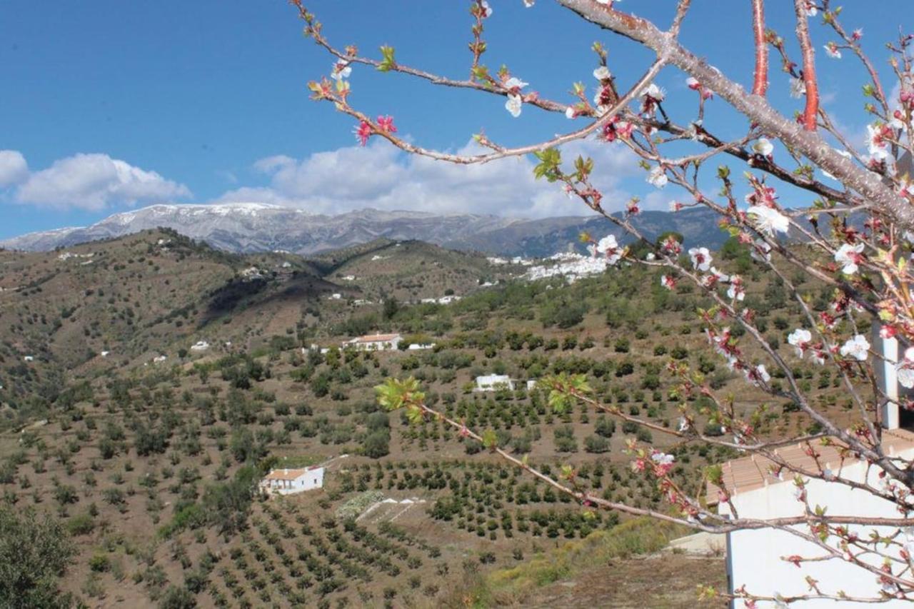 Fuentezuelas Pool Villa Sayalonga Kültér fotó